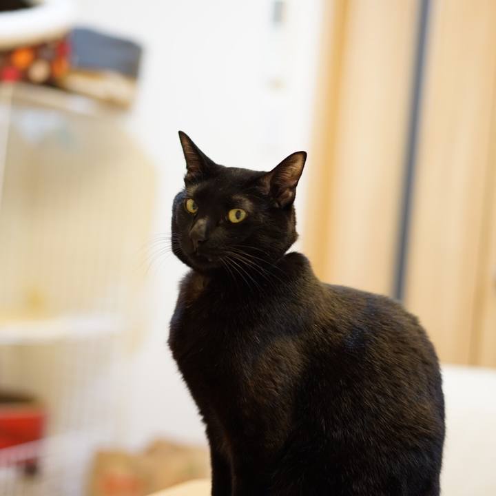 De91552e b447 4944 8ec6 466fad73cd76 1548286512819