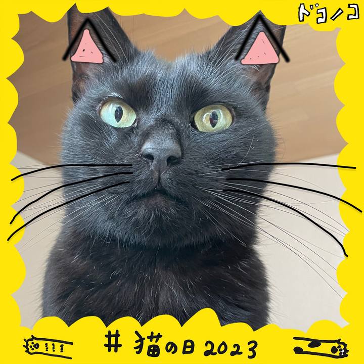 De9155e6 6e96 4e68 9bcc 85b9ac6457ee 1677016648849