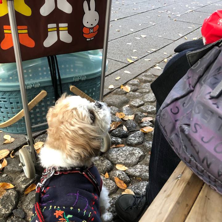 De915777 87fd 432b 8b0d 144072abbbce 1604958490410