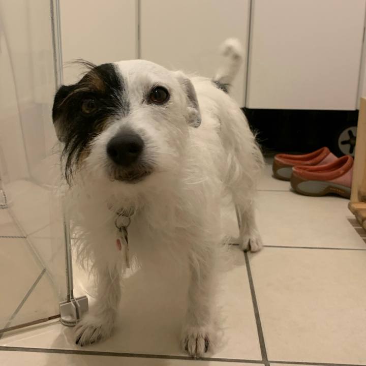 De915dd9 051f 4ab8 bcff b2a952572f8e 1624881884844