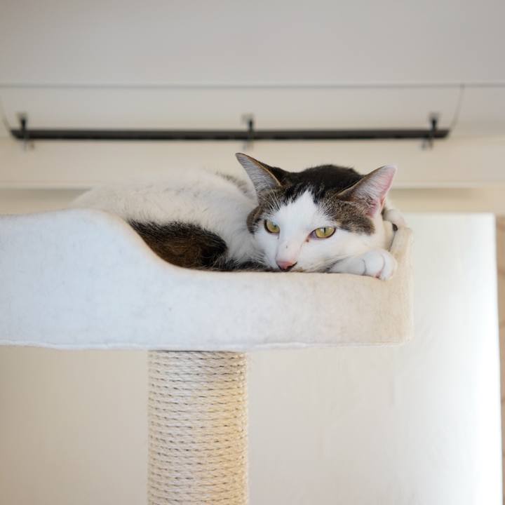 De9192f3 aca8 4b07 9513 91b3d58e866f 1511055409844