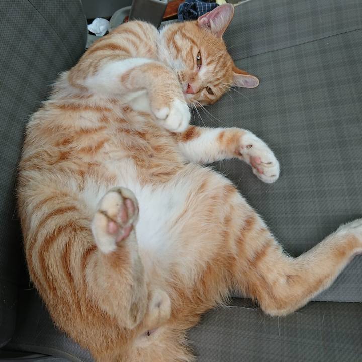 De91931f bfe9 4ac7 82bf ac8b6c7ecc9f 1564184378023