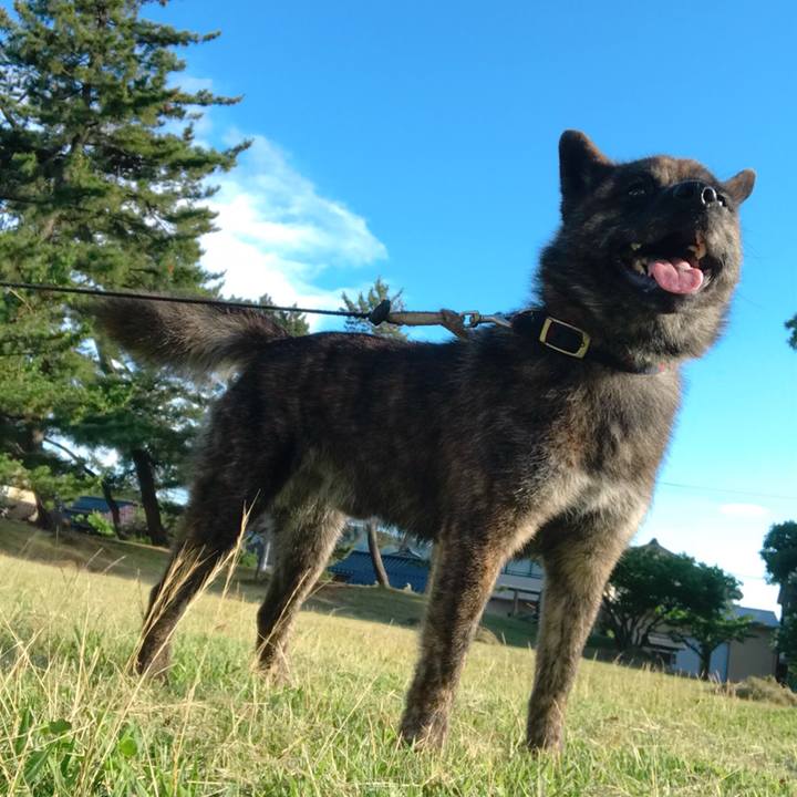 De919f0a 8edb 48d9 9a42 edea250b3f1b 1531045950186