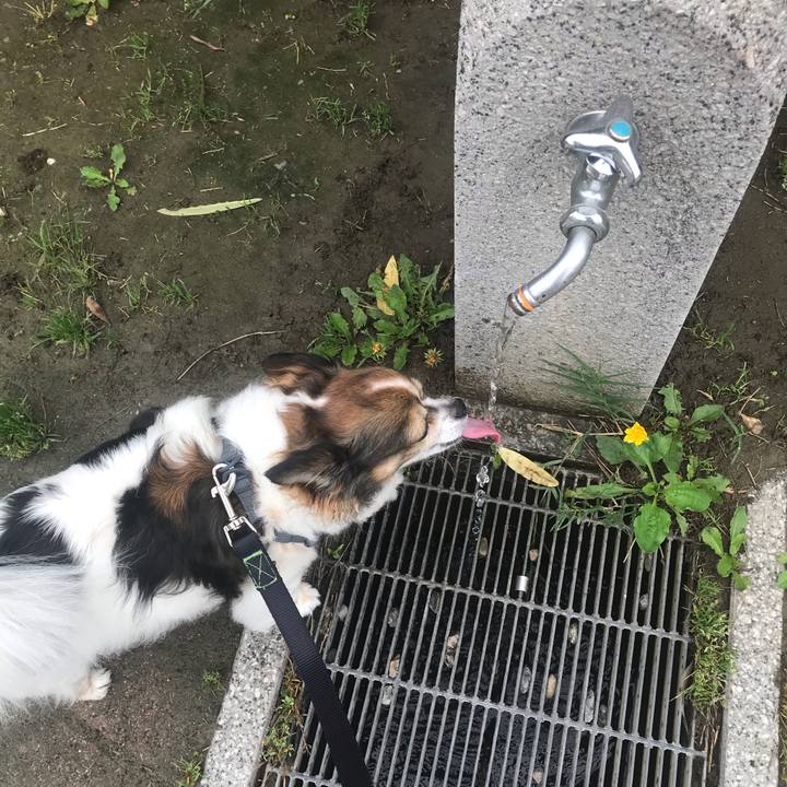 De91b2f1 7b70 4508 aab4 858ef9b9785a 1621612799745