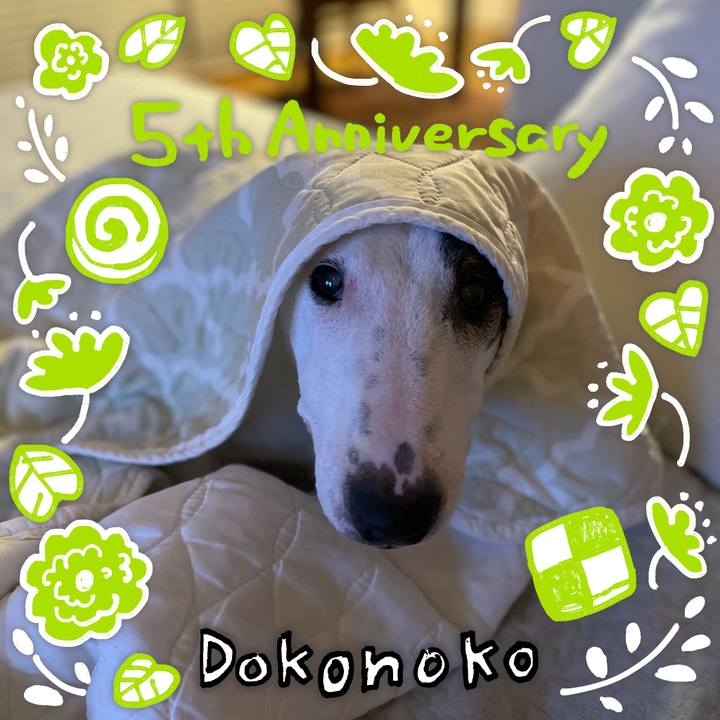 De922561 a7f7 46e2 a54b 884b26fa48ec 1623451900100