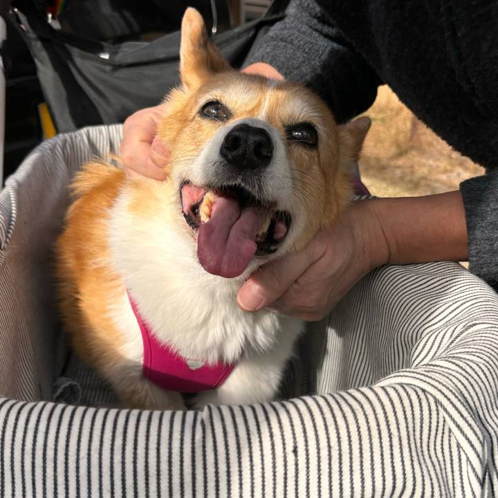 De929390 02ca 4059 a687 2f2b172e229c 1731811971573