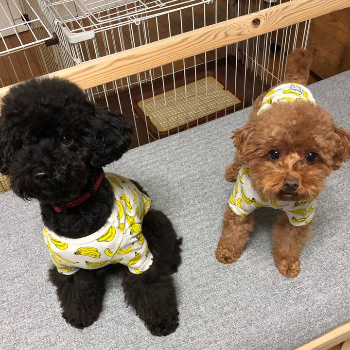 De929a86 acbb 4c99 bf3a d64180822c99 1571907753619