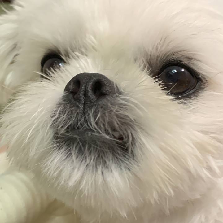 De92b5df fdca 4002 aa55 537e5243b84c 1656251935773