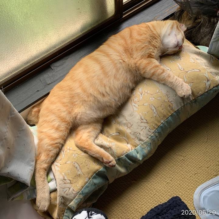 De92c5b0 d59c 4ea3 be44 81bae3357869 1592616383800