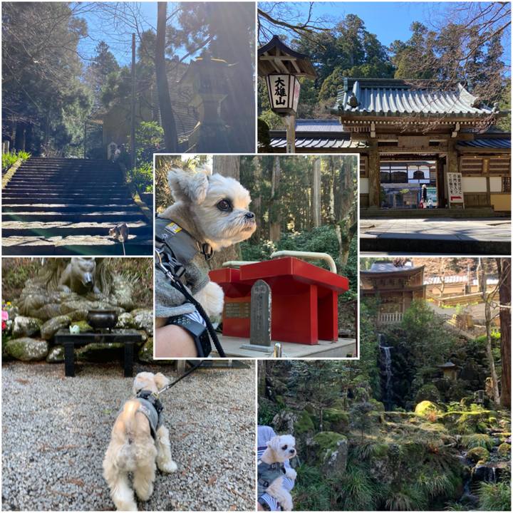 De932165 80df 4e16 b4e8 a25bd54cb370 1584696633199