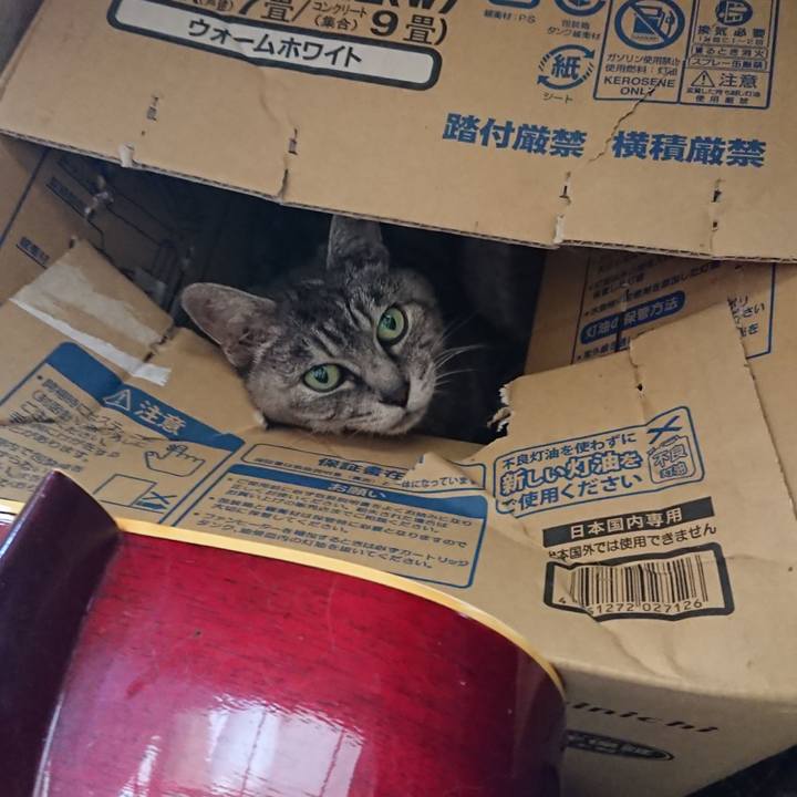 De9327fc 08a0 46a5 9560 f9ff6812f4d4 1567907889188