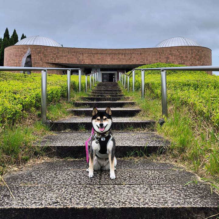 De933a1e 345d 4b6d bae2 f61c2720c0a3 1760190106638