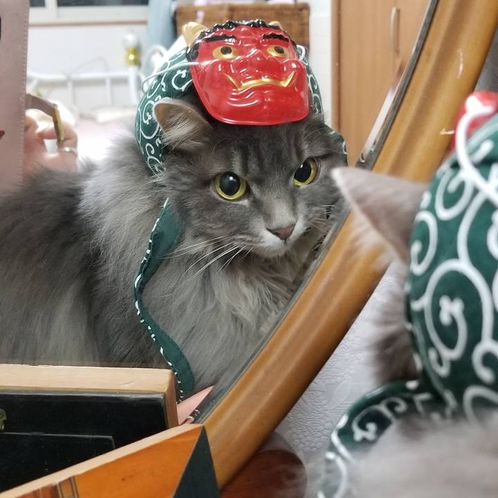 De934ab3 342f 4ae9 b1dd 599c7f189345 1549196334565