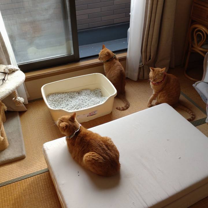 De934eb2 75b0 4e1f 9c72 a6699467b522 1636415408815