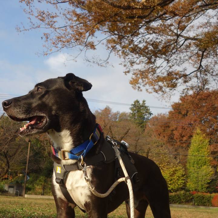 De937deb 45a0 445b ae71 a46ae3bbfa8a 1637107863499