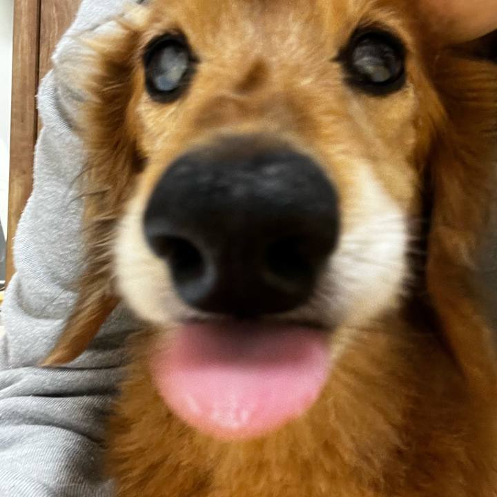 De93d9b2 9f7e 4a1a afb4 7cdbe3360d33 1653739291459