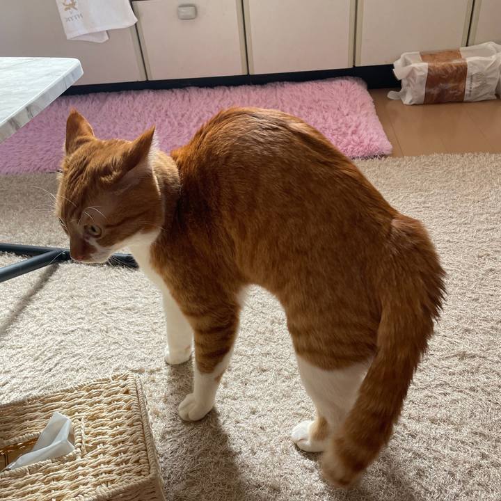 De93ec64 c565 45b3 9757 680a9ab78eb1 1771824330782