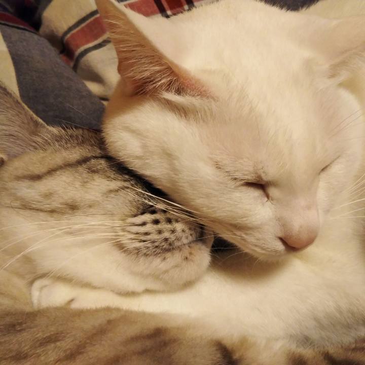 De940963 0649 416b 9a73 6cc10ab6d9aa 1581347196149