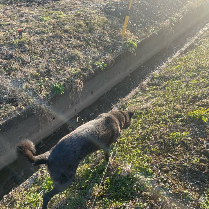 De941a9b 3dc9 416e 8b8e a512853738a8 1671171184416