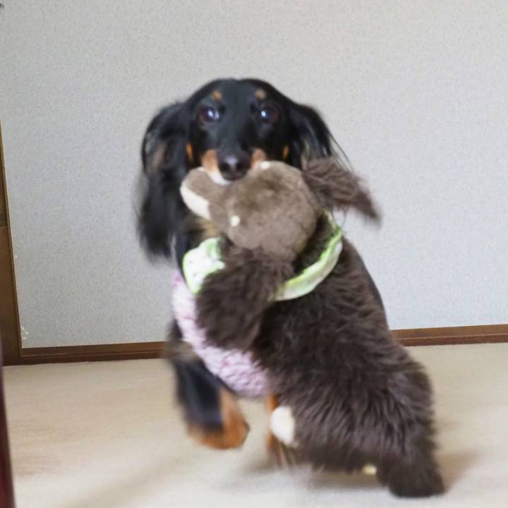 De941cc0 e4ac 4a8d a59b a274fcf5c063 1643791883686