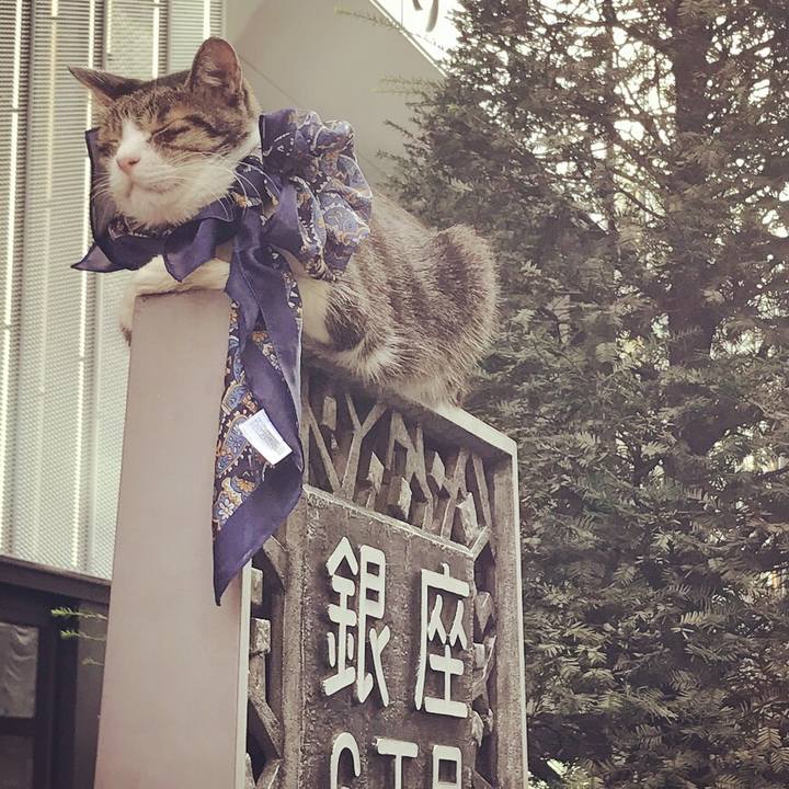 De9425c4 3773 420f 8544 5dd43e3d1eaa 1520842783902