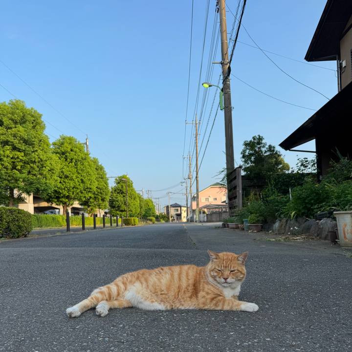 De942a4b 230c 472c a8bf 4198f372fb71 1754431327534