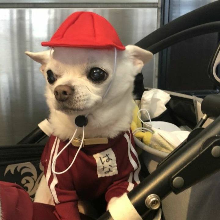 De947684 96a0 4a85 b471 720bd6630f9d 1529984462167