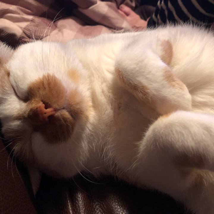 De947fef 1f98 49a0 95d3 3aad724279e1 1519296695797