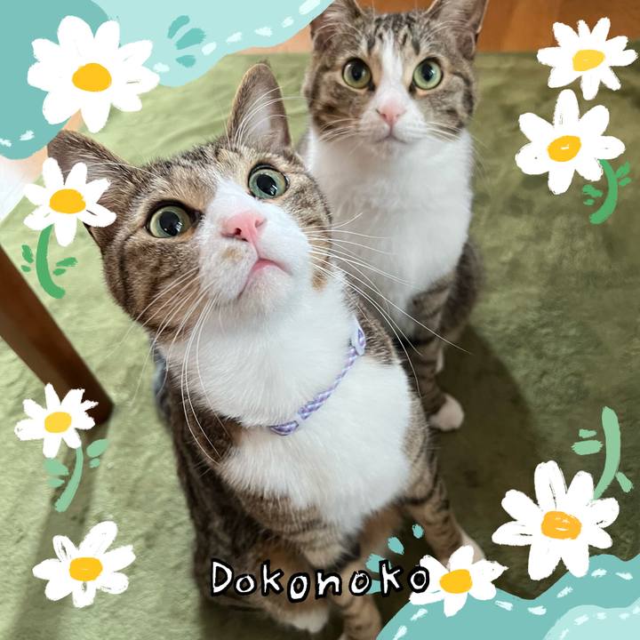 De9495c2 b6ed 4467 9eb0 79a559b34a20 1712799143866