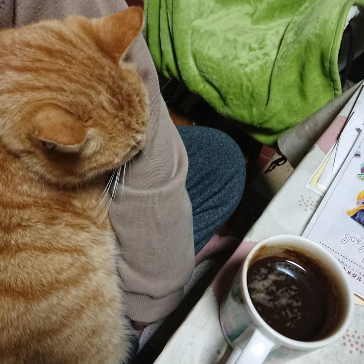 De94a280 5a36 4f4a 971c 99305e8a0ffb 1582229447217