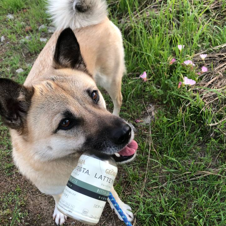 De94ea7a 71ce 41c0 9452 3aed4aaba984 1589976672635