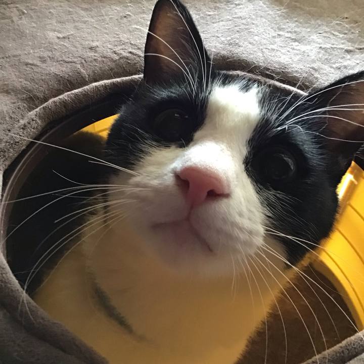 De9583f7 cf6e 4f5a 8e56 7bd11070d917 1683015368312