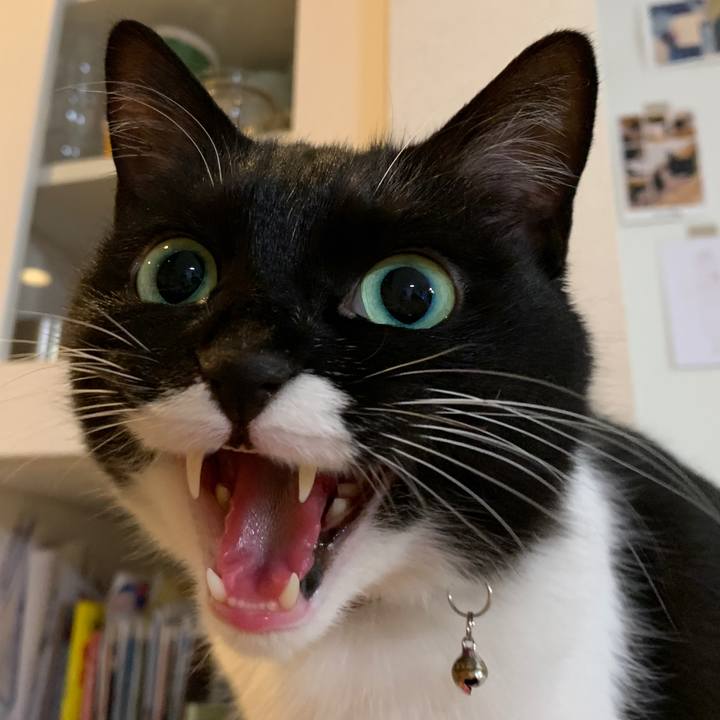 De95a3f2 6921 4213 833d 923555f9be17 1585999664709