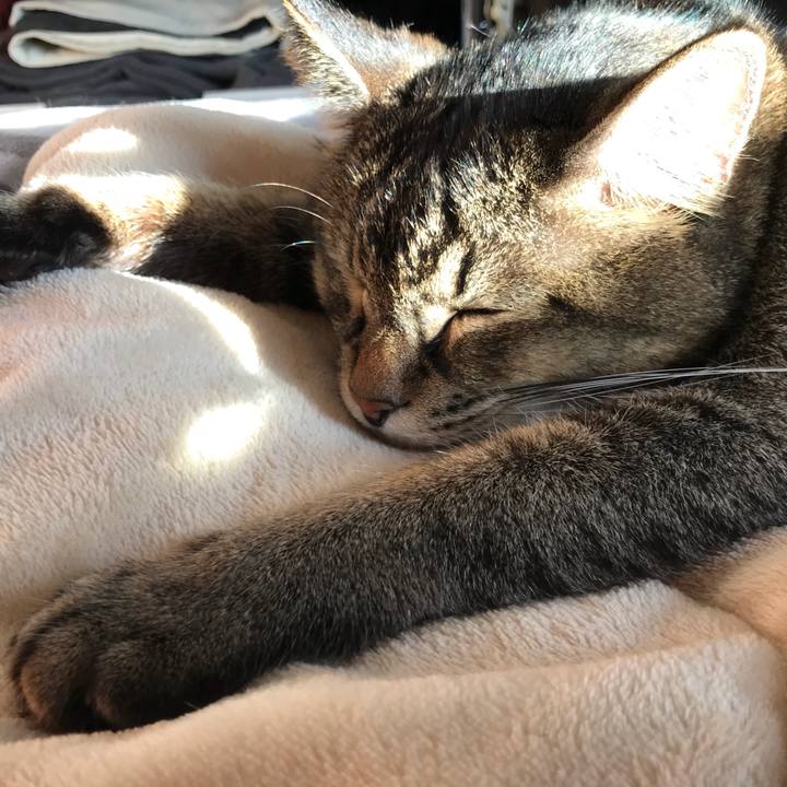 De95b838 b1fe 42d7 bad3 e3389984a132 1513492596732