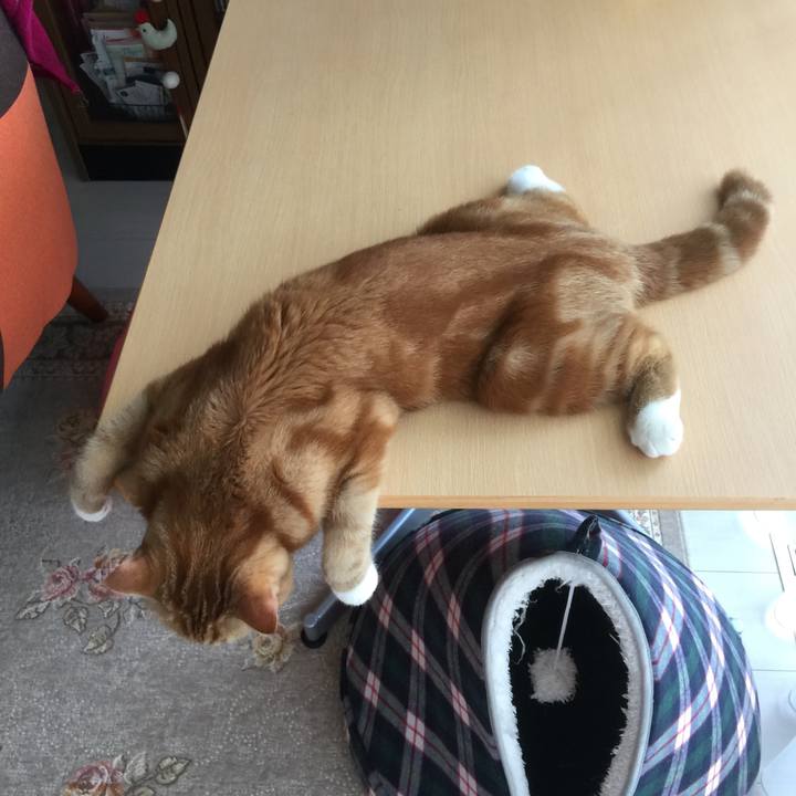 De95e258 c2ce 4adb ada9 aa2ba8e695c1 1523918330444