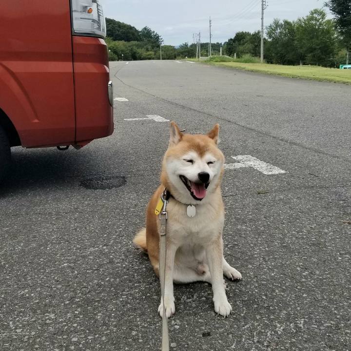 De9616fc 0404 4245 be4f 2d47557eabdb 1629529193852