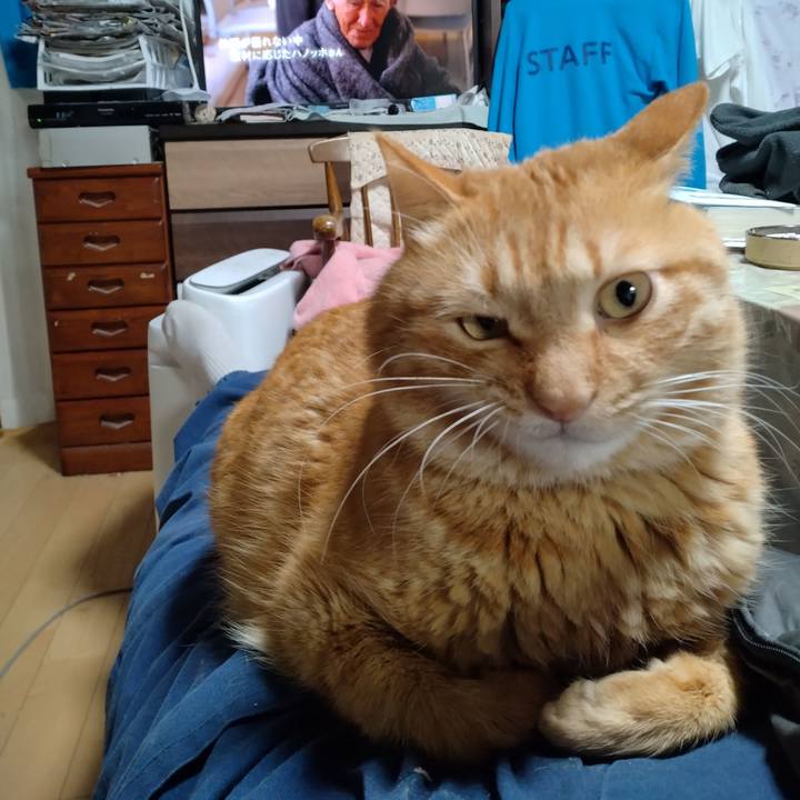 De962ecd 974a 477d 9d68 6f298b203754 1706529203992