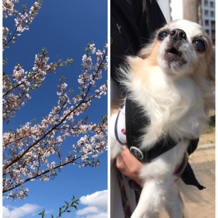 De963895 9cf5 446c a26c 7711dd810259 1555373092372