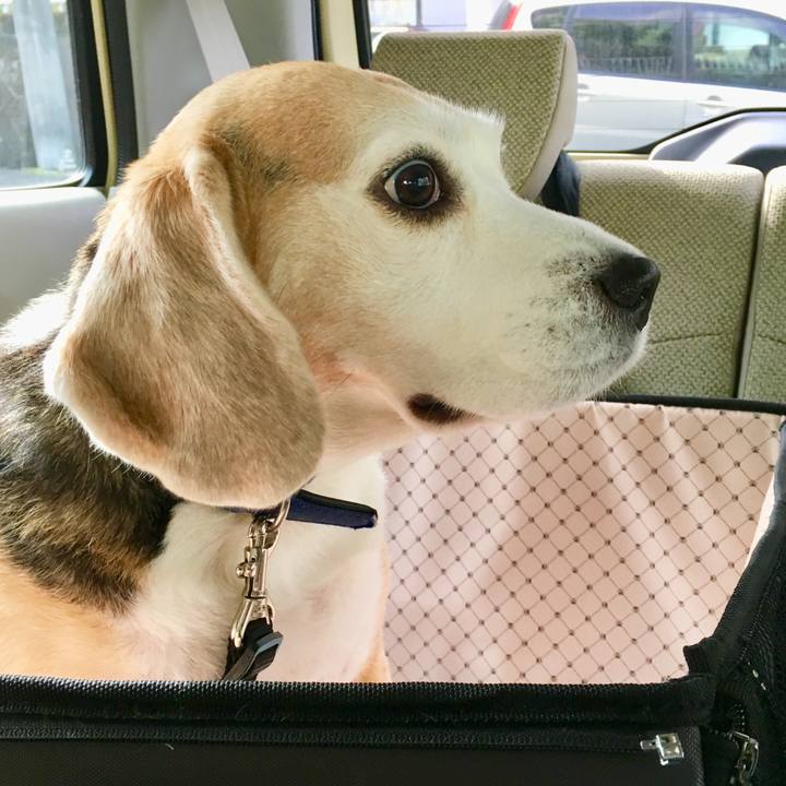 De9653ad 1a52 41e1 b51f dd4f8270ffa2 1549595838926