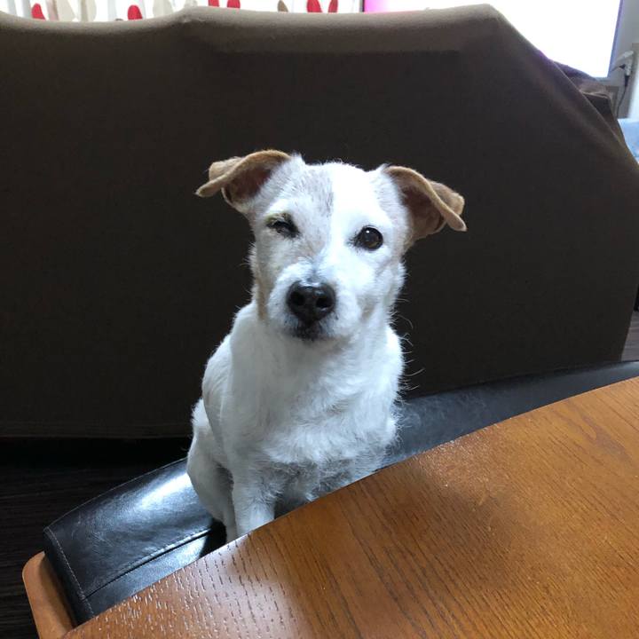 De96924b c7bd 4c48 90b4 709242518229 1548420409427