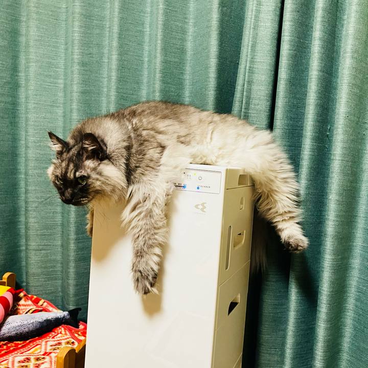 De96bd77 034a 4c33 9e82 3b98af5df3d6 1721568649575