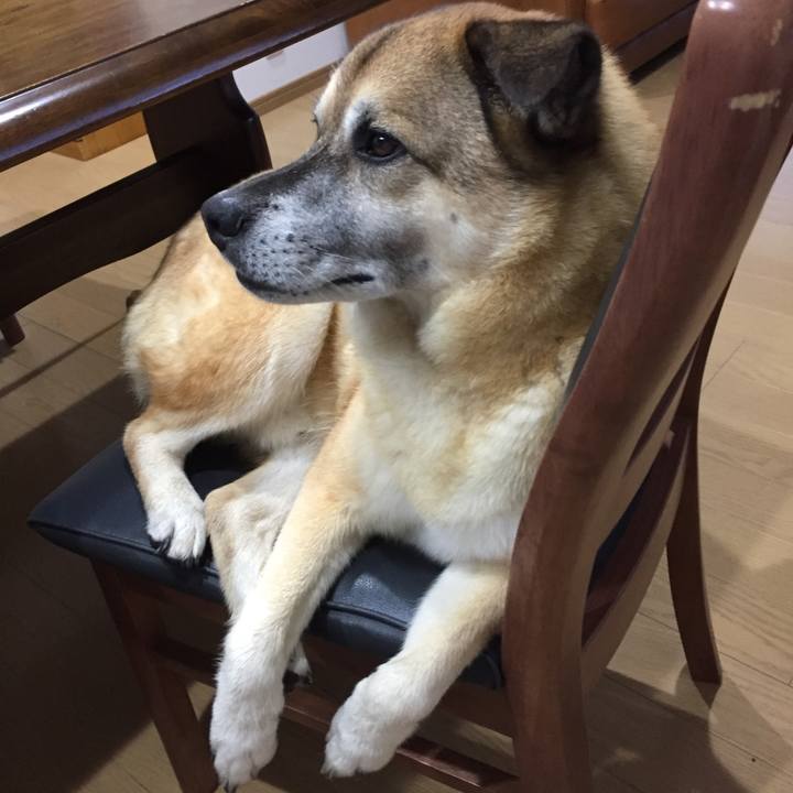 De96c75c 8e82 4740 9242 9c7a0252c16d 1566814686485