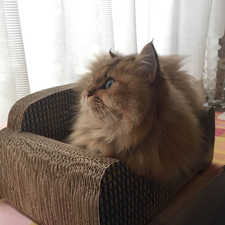 De96d93a 462e 4b4e a7ba ee349b6f83aa 1537778825115