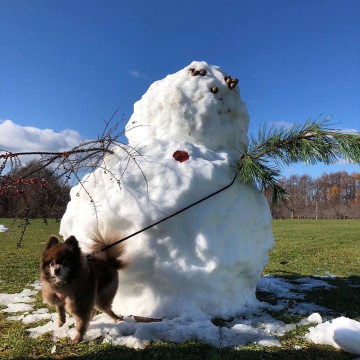 De96ed7f 73ae 4965 a665 1b7ba8dd55cb 1638159913033