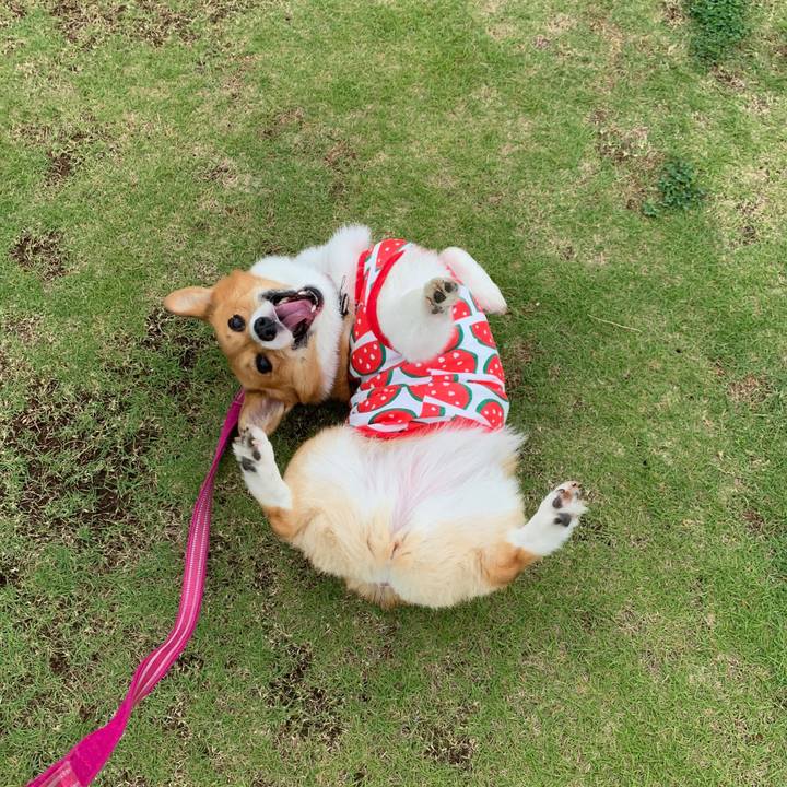 De970271 bd3a 4e9c 931e 086311db1969 1560092202488