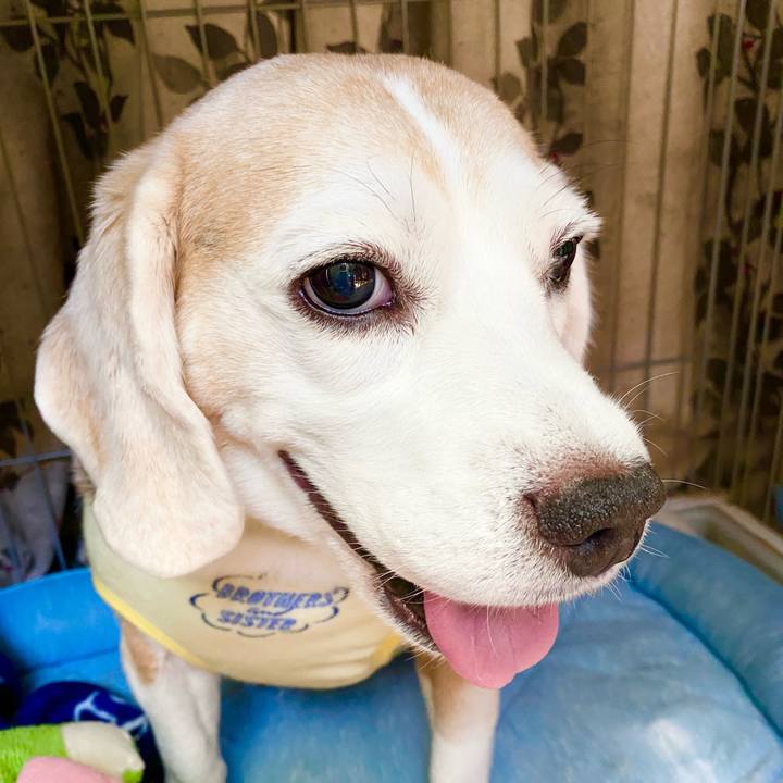 De971f2d 61d2 462e a02f 6e2fd6a9e4c5 1629344925227