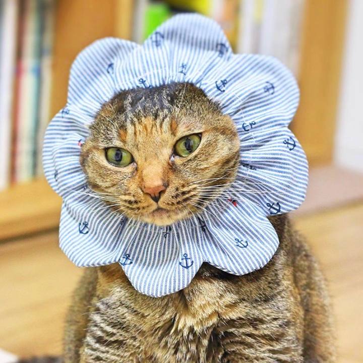 De974e0a ca6d 4aee abb1 75f1613a8ec3 1566015629457