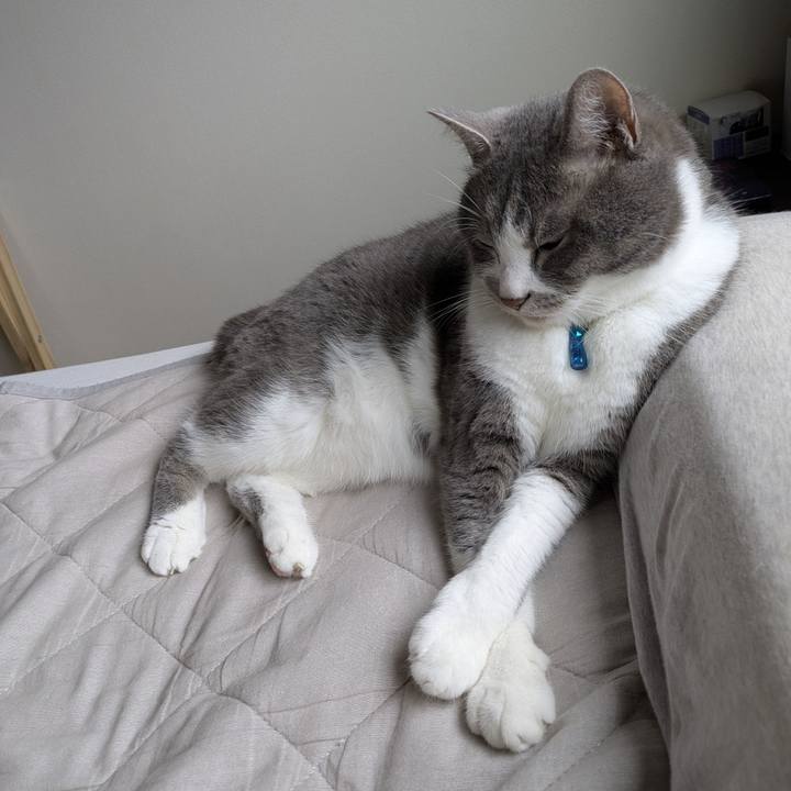 De975640 5491 4146 8c67 c195d6077581 1750811190130