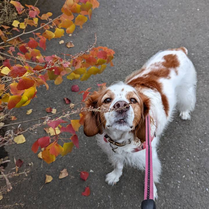 De979ee9 cb5a 417c 89a5 2e2f5160099b 1669107279859