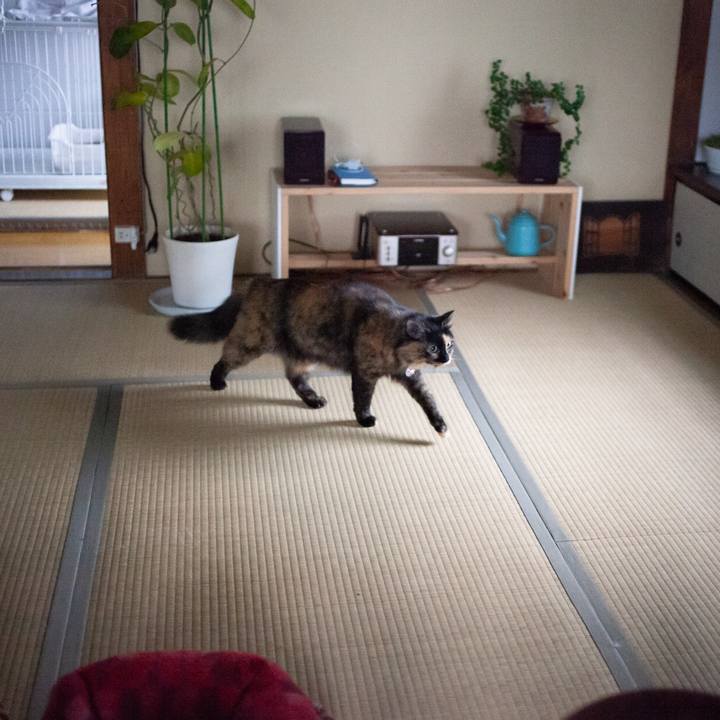 De97cb43 8c9c 4d6e bfa6 395be34b2a0c 1581817286936